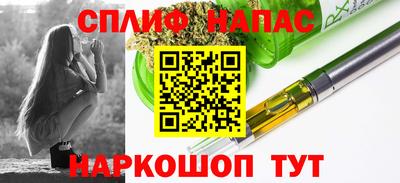 мдпв Пугачёв