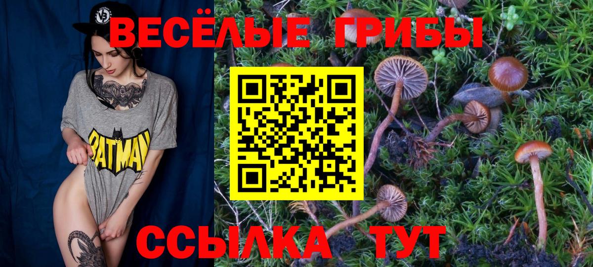 Галлюциногенные грибы мицелий Пугачёв