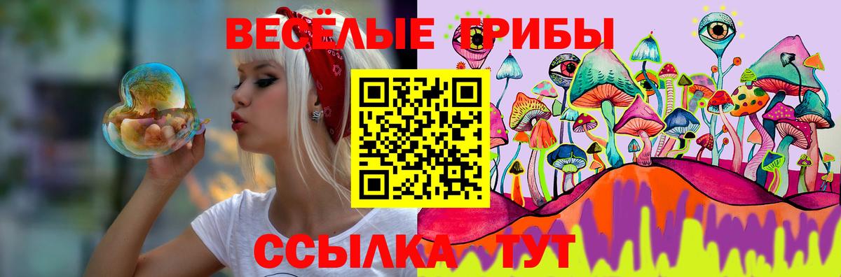 Меф МЯУ МЯУ кристаллы  Экстази  COCAIN  Гашиш  Пугачёв  Марихуана  Вход с VPN 