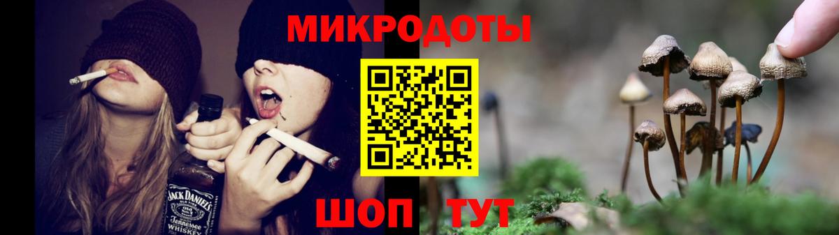 Пугачёв  Псилоцибиновые грибы ЛСД  Галлюциногенные грибы MAGIC MUSHROOMS  Вход с VPN 